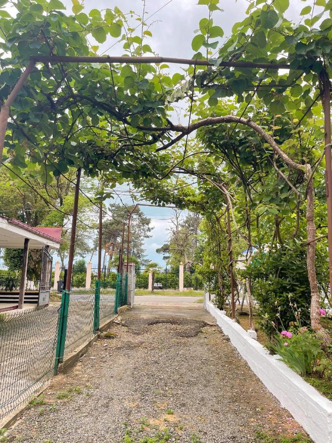 Guesthouse On Agmashenebeli 328 科布列季 外观 照片